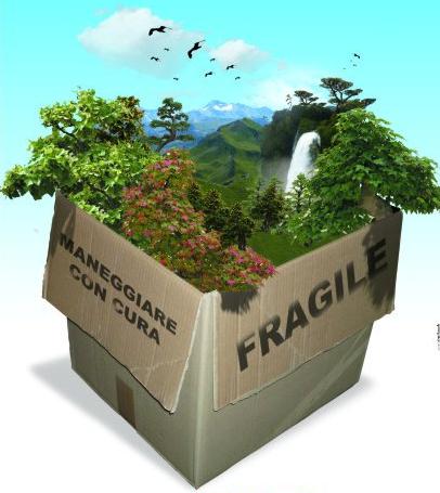 fragile-thumb-406x455-39961
